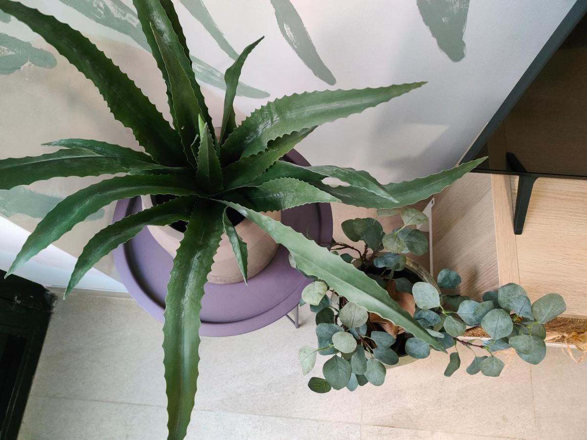 Hola Apartament Alicante Bagian luar foto